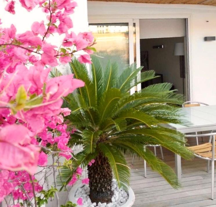 B&B Interno 3 Bari Ngoại thất bức ảnh